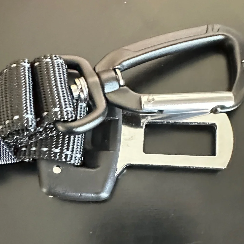 Black Dog Seat Belt